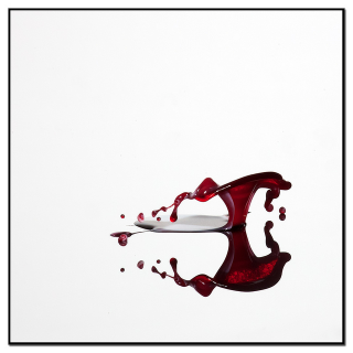 Illustration for article titled Photographs That Make a Huge Splash
